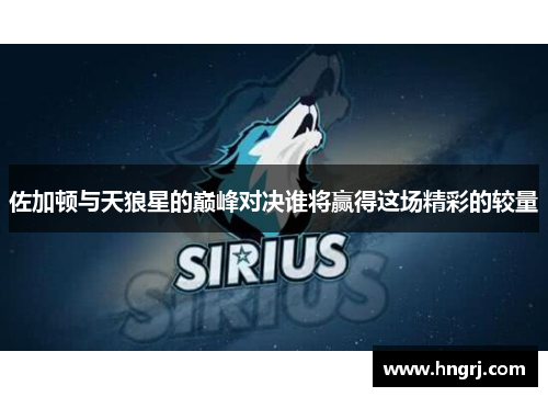 佐加顿与天狼星的巅峰对决谁将赢得这场精彩的较量